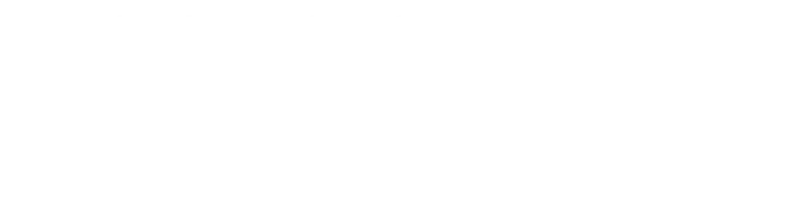 Paragon Health Institute Logo White